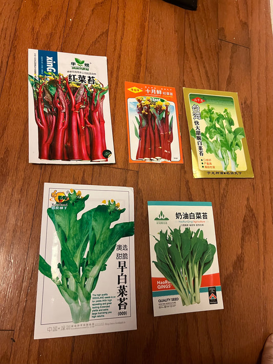 菜苔，