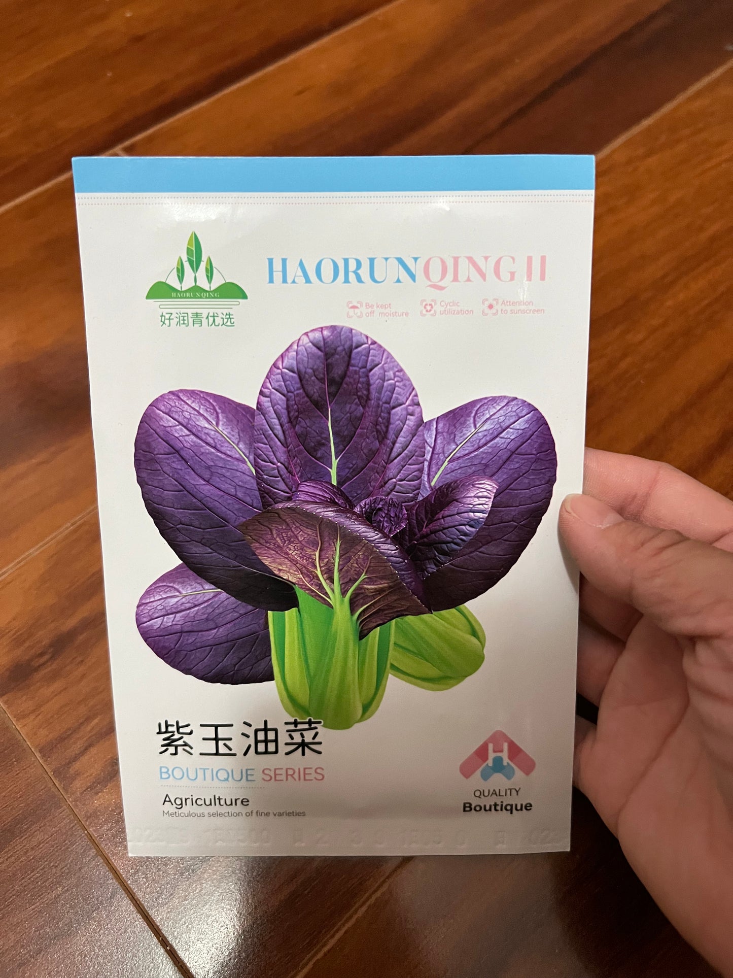 各种菜籽