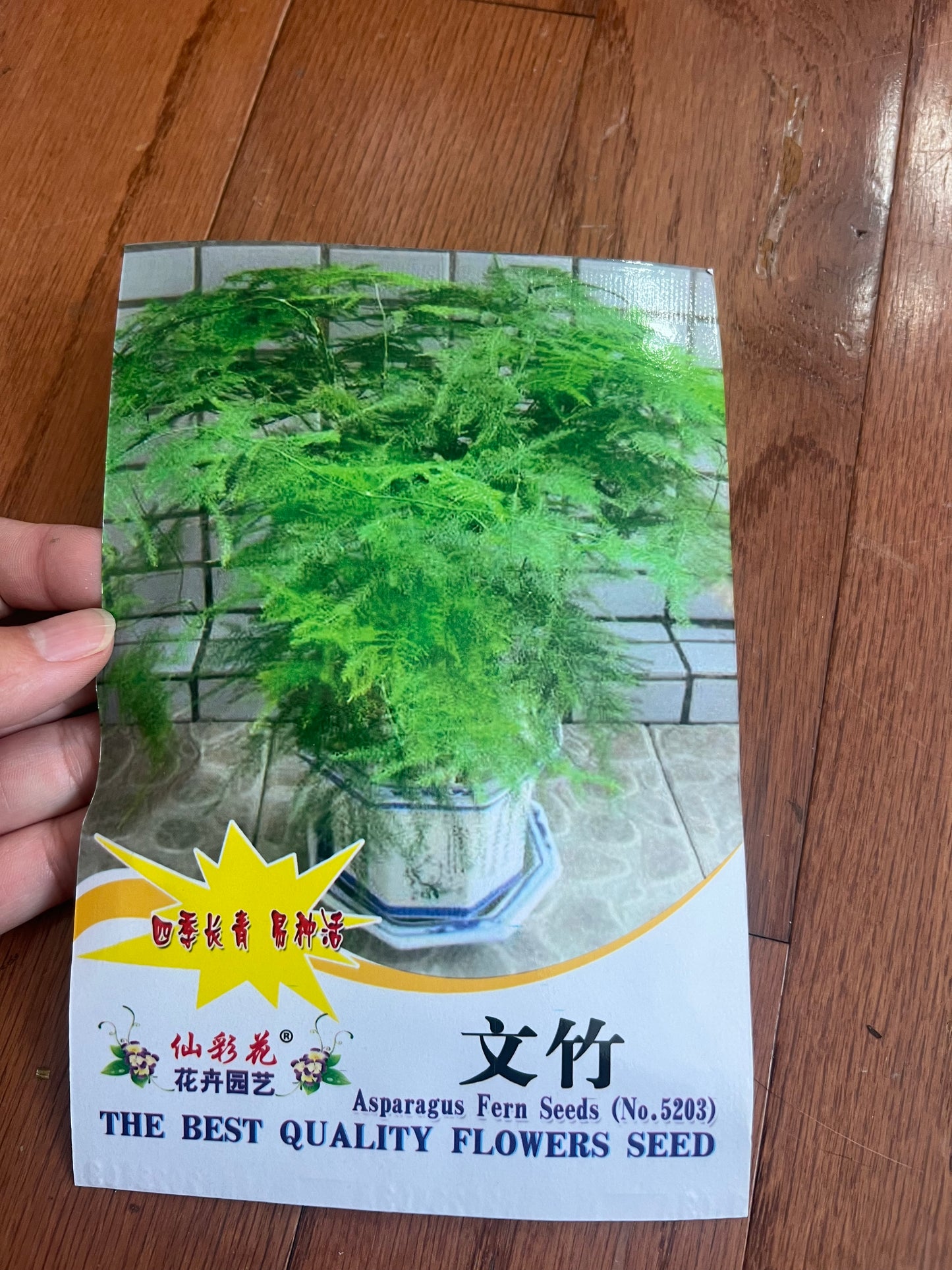 21款花卉种子，请点开