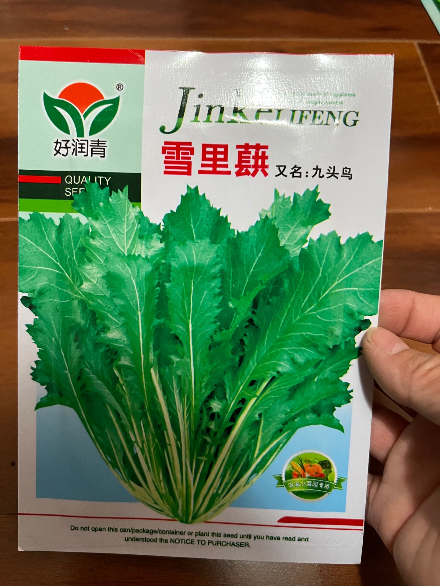 各种菜籽
