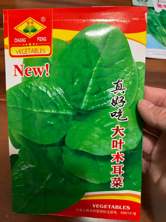 各种菜籽