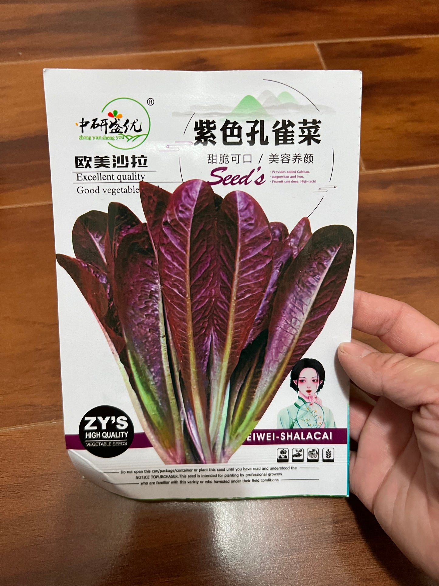 各种菜籽