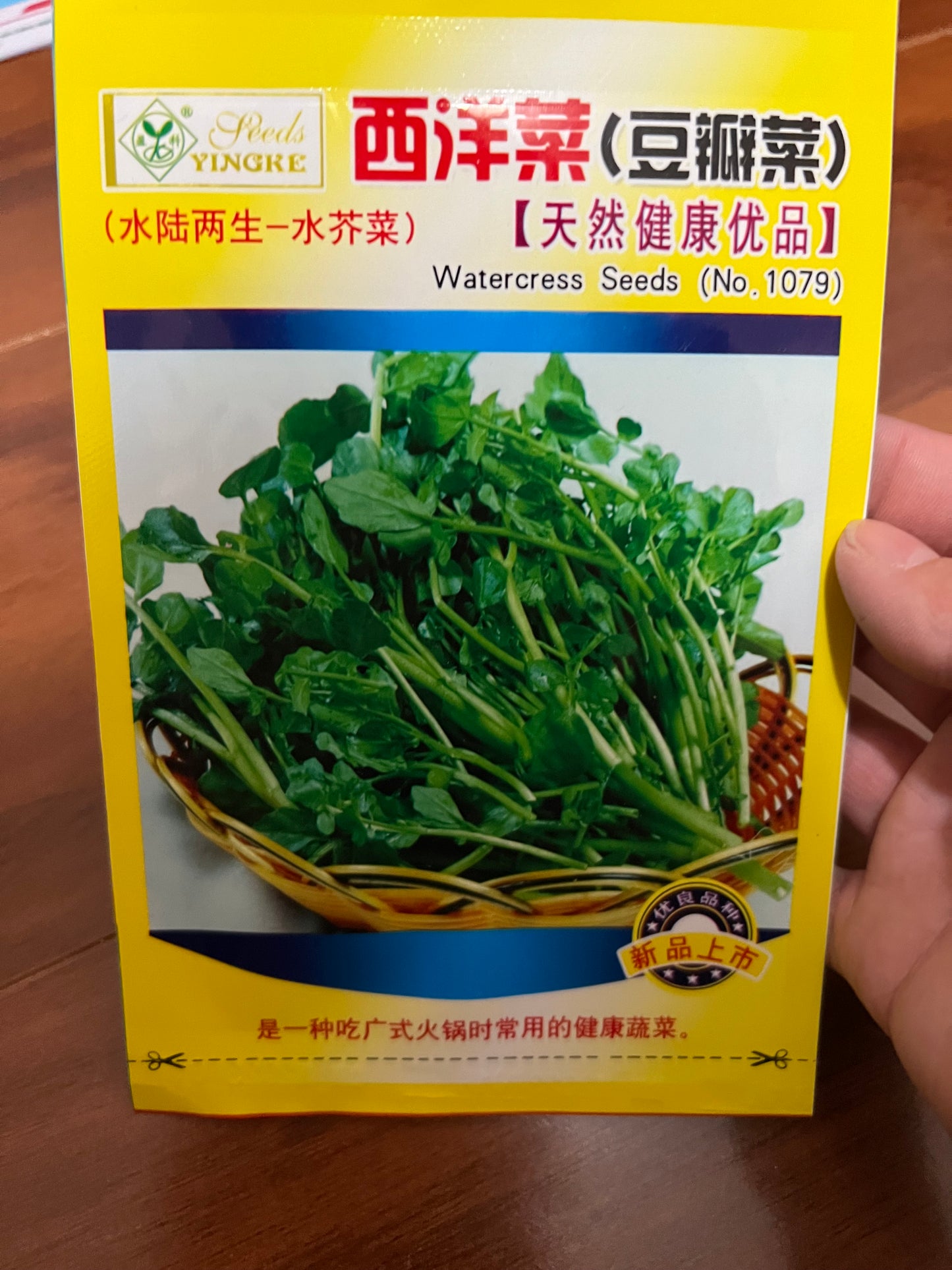 各种菜籽