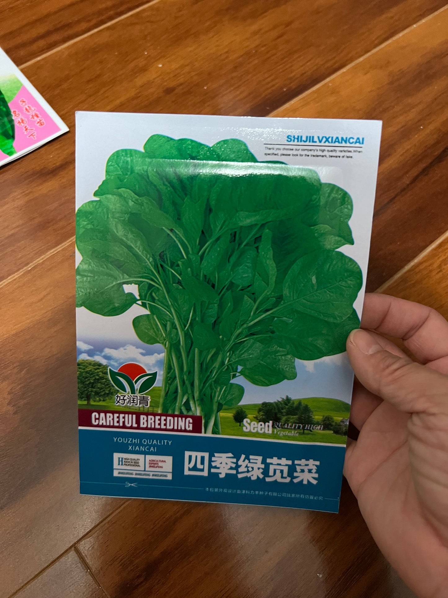 各种：苋菜，芥菜