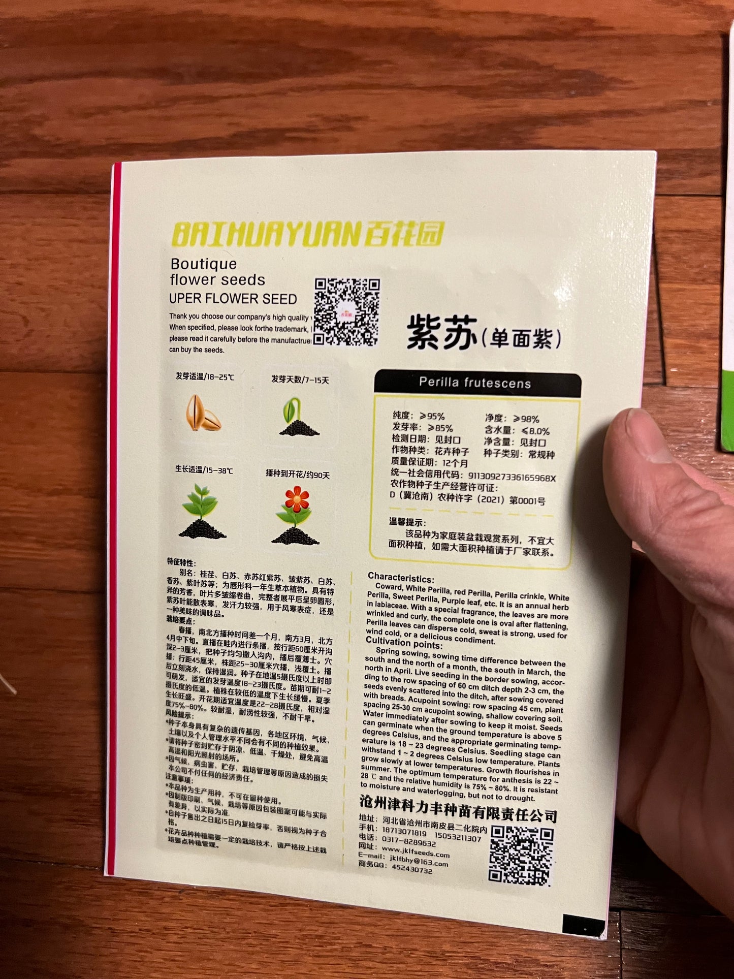 紫苏单面紫，3克