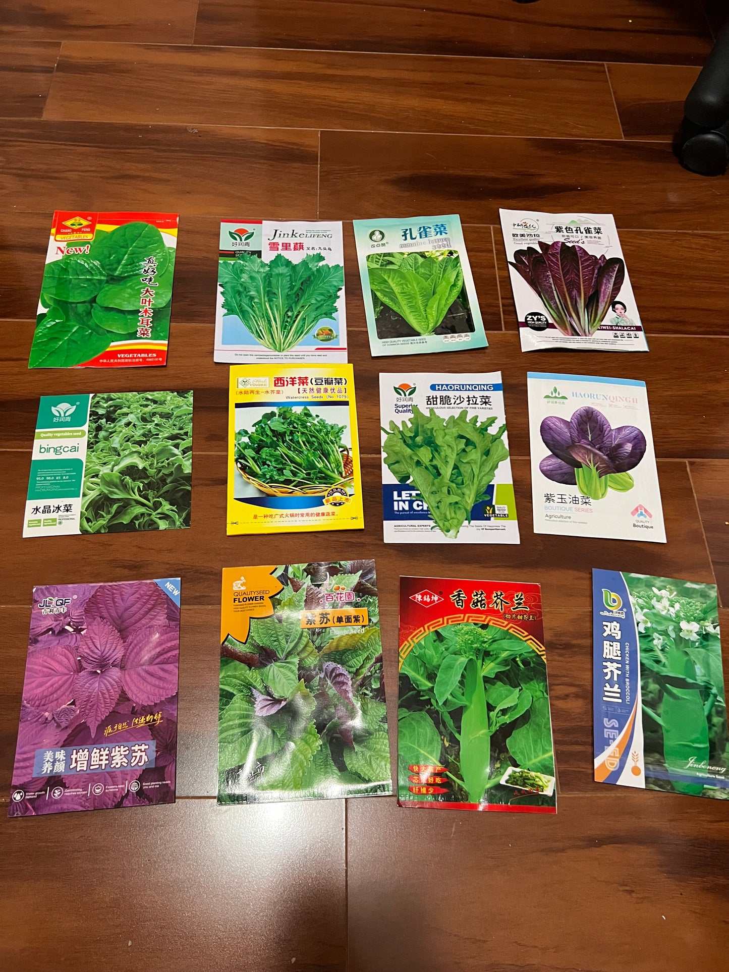 各种菜籽