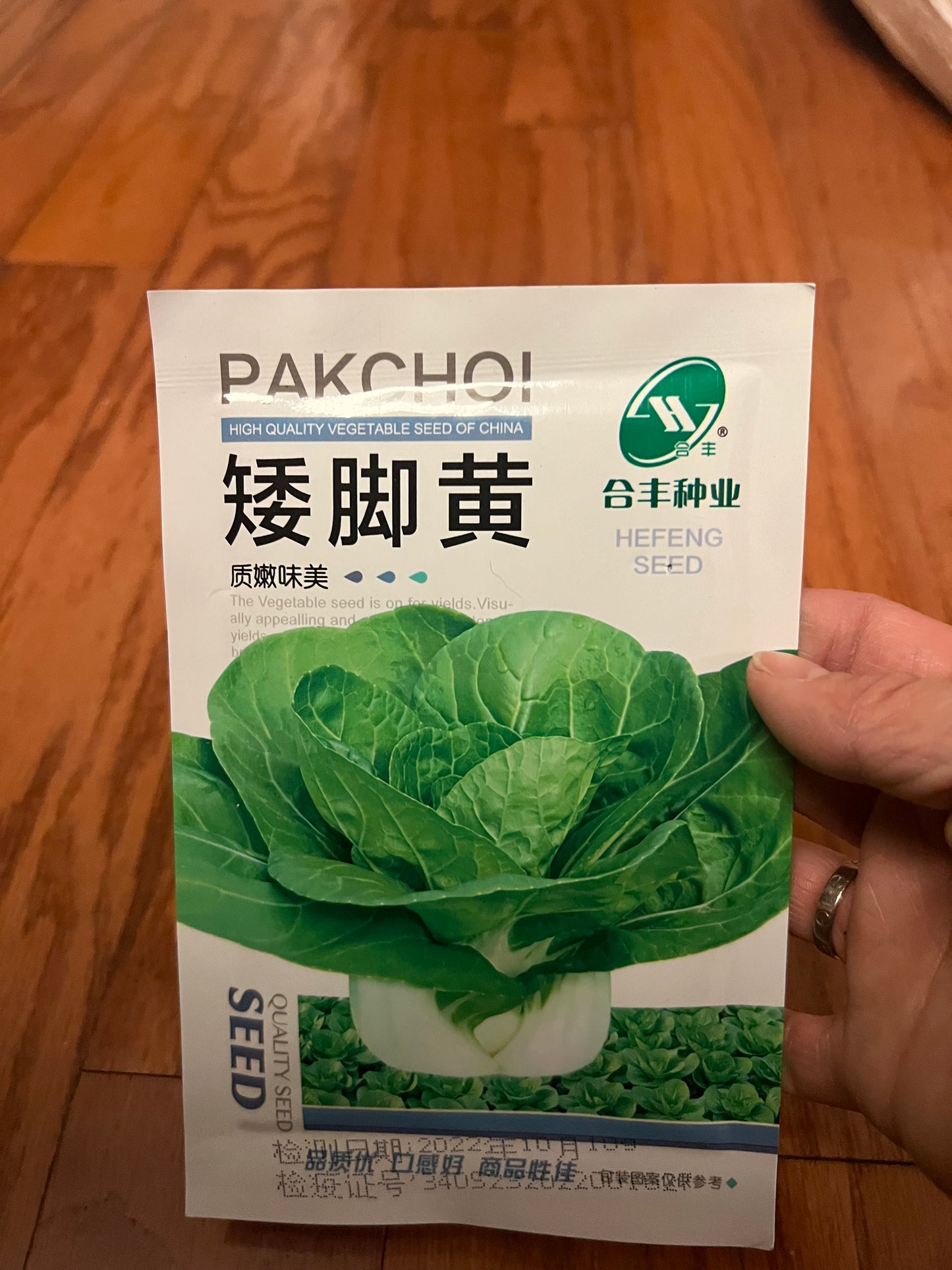 小白菜，白梗快菜，四季可以种