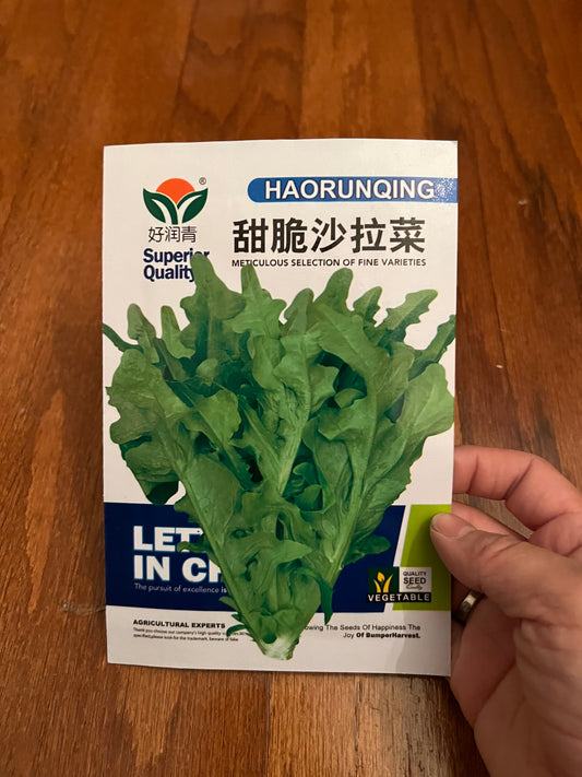 甜脆沙拉菜，四季可以种植