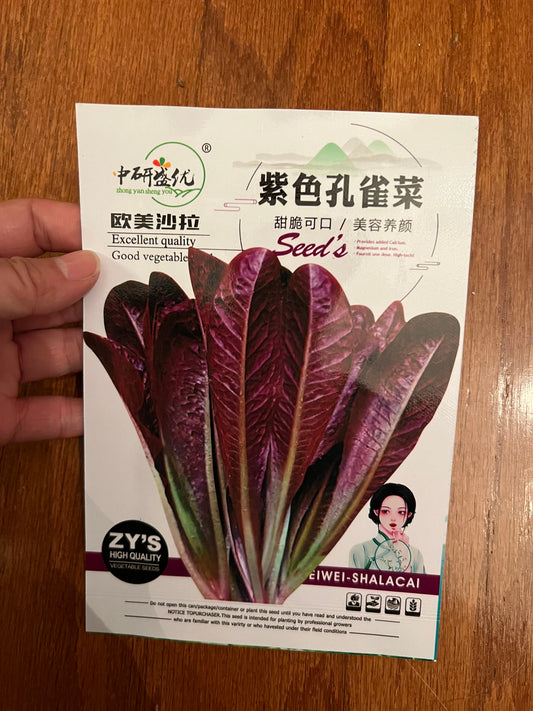 紫色孔雀菜10克，春夏秋播种