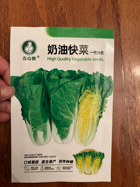 奶油快菜10克，四季播种，50天收成