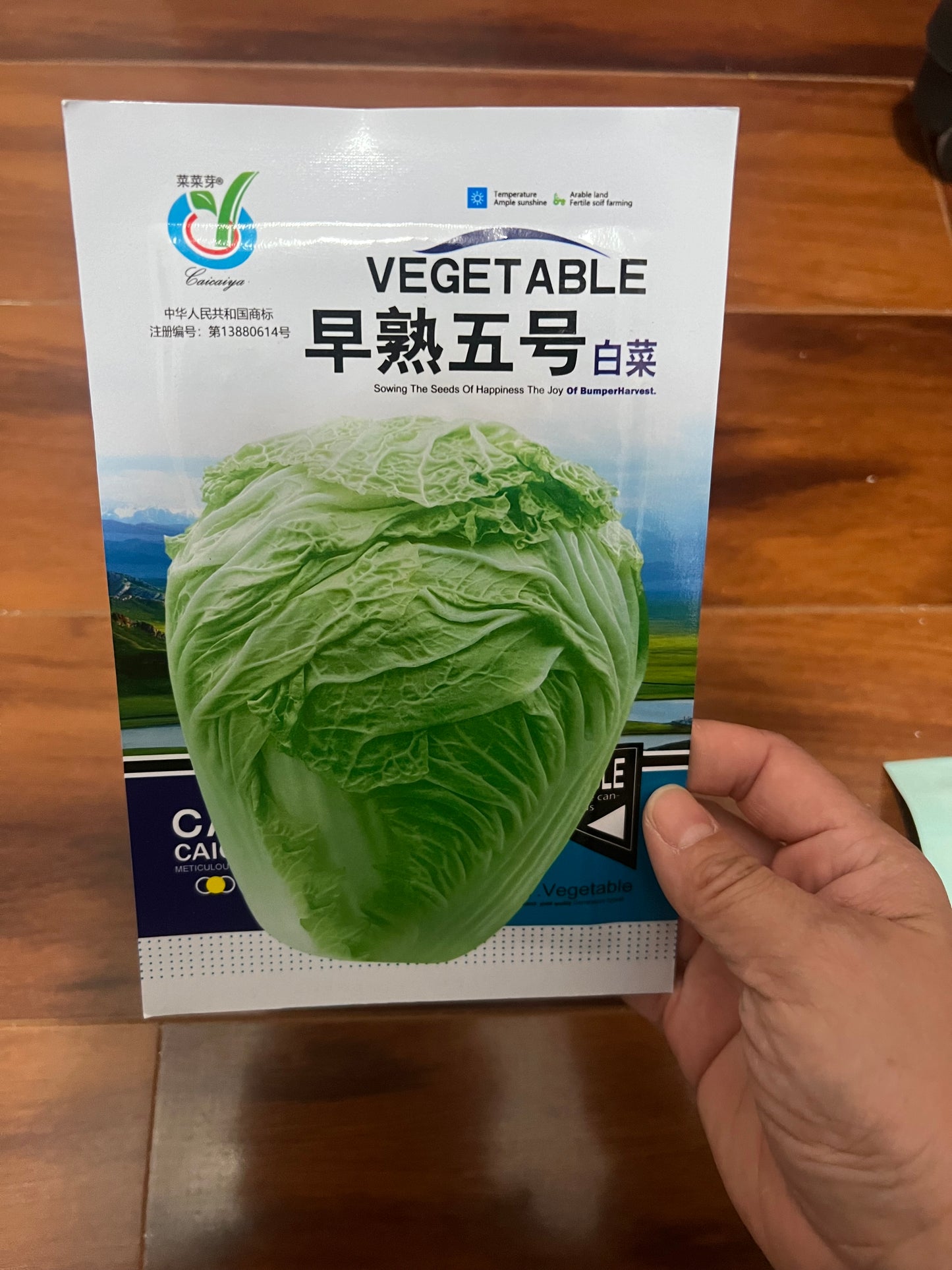 各种：白菜，苏州青，