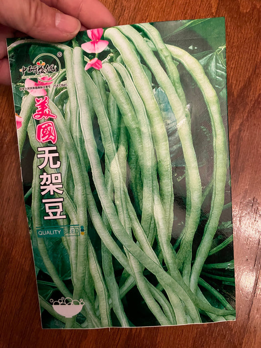 美国无架豆，10克，春秋种植