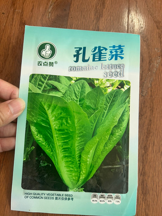 孔雀菜5克，春夏秋播种，60天收成