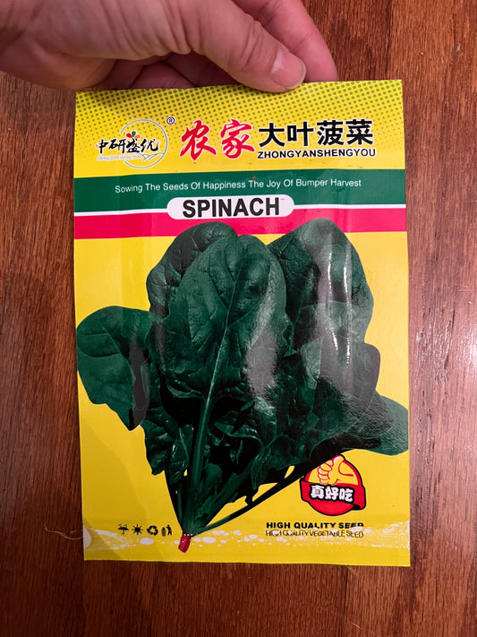 大叶菠菜，10克，四季播种