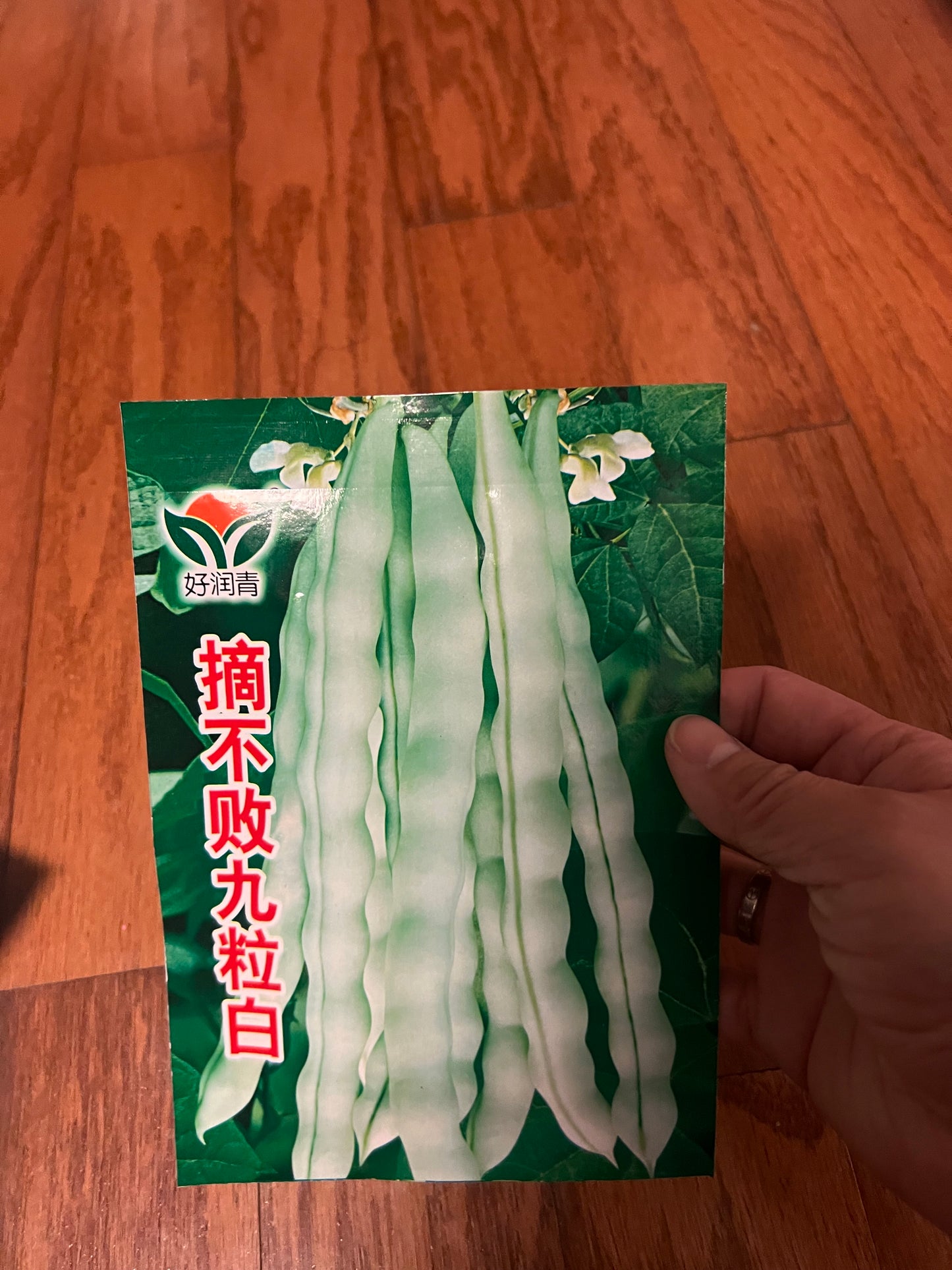 长豆，芸豆，豇豆