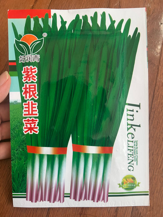 紫根韭菜3克，春夏秋播种