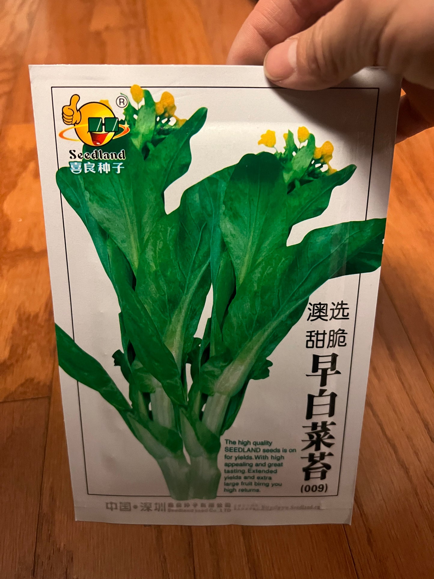 小白菜，白梗快菜，四季可以种