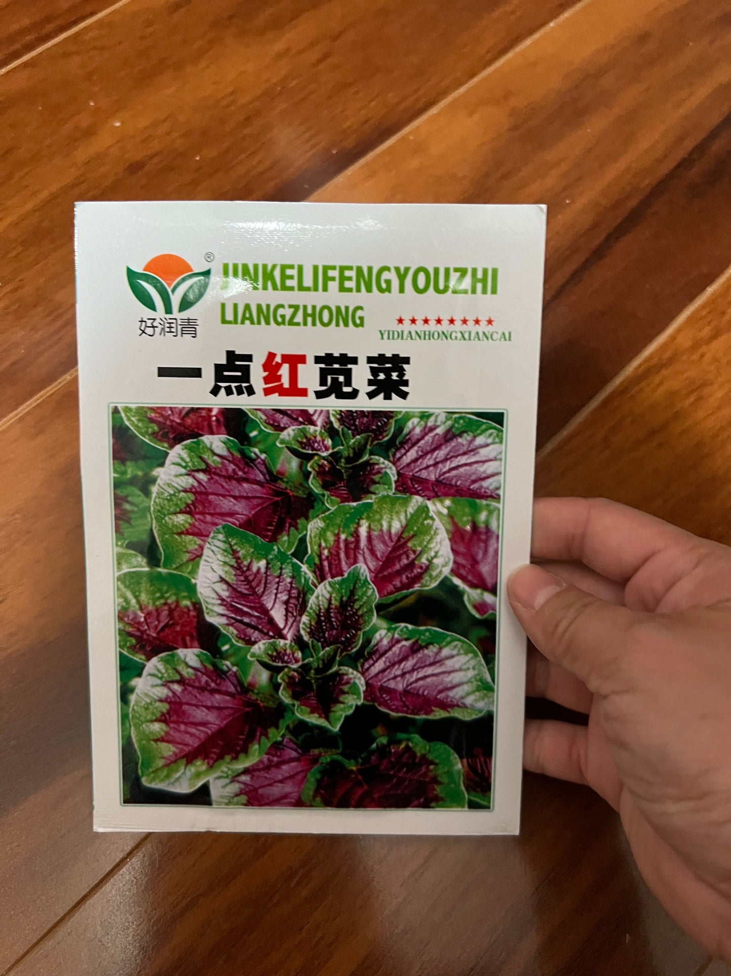 各种：苋菜，芥菜