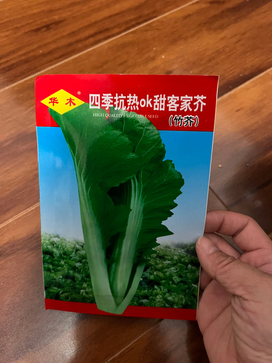 各种：苋菜，芥菜