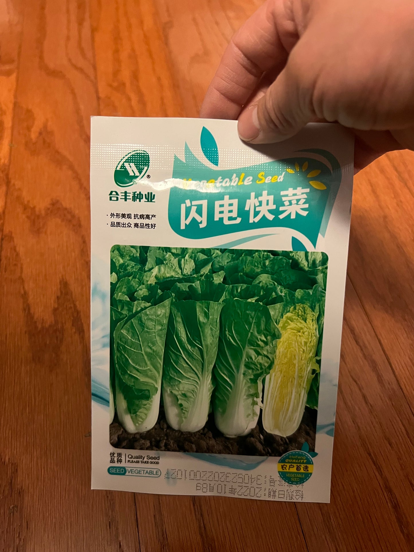 小白菜，白梗快菜，四季可以种