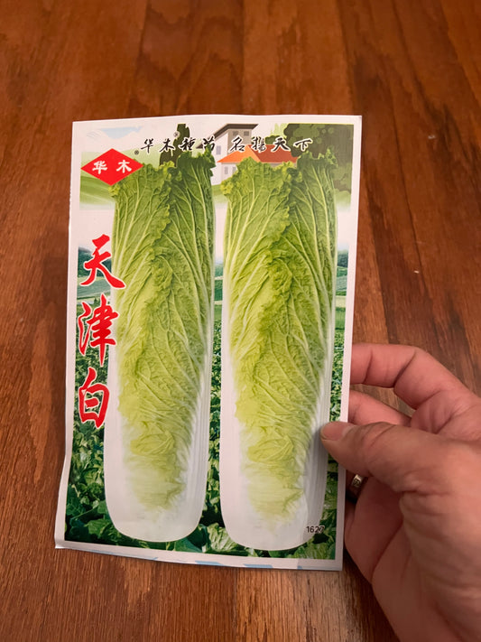 天津白，秋季播种，70天收成，5克