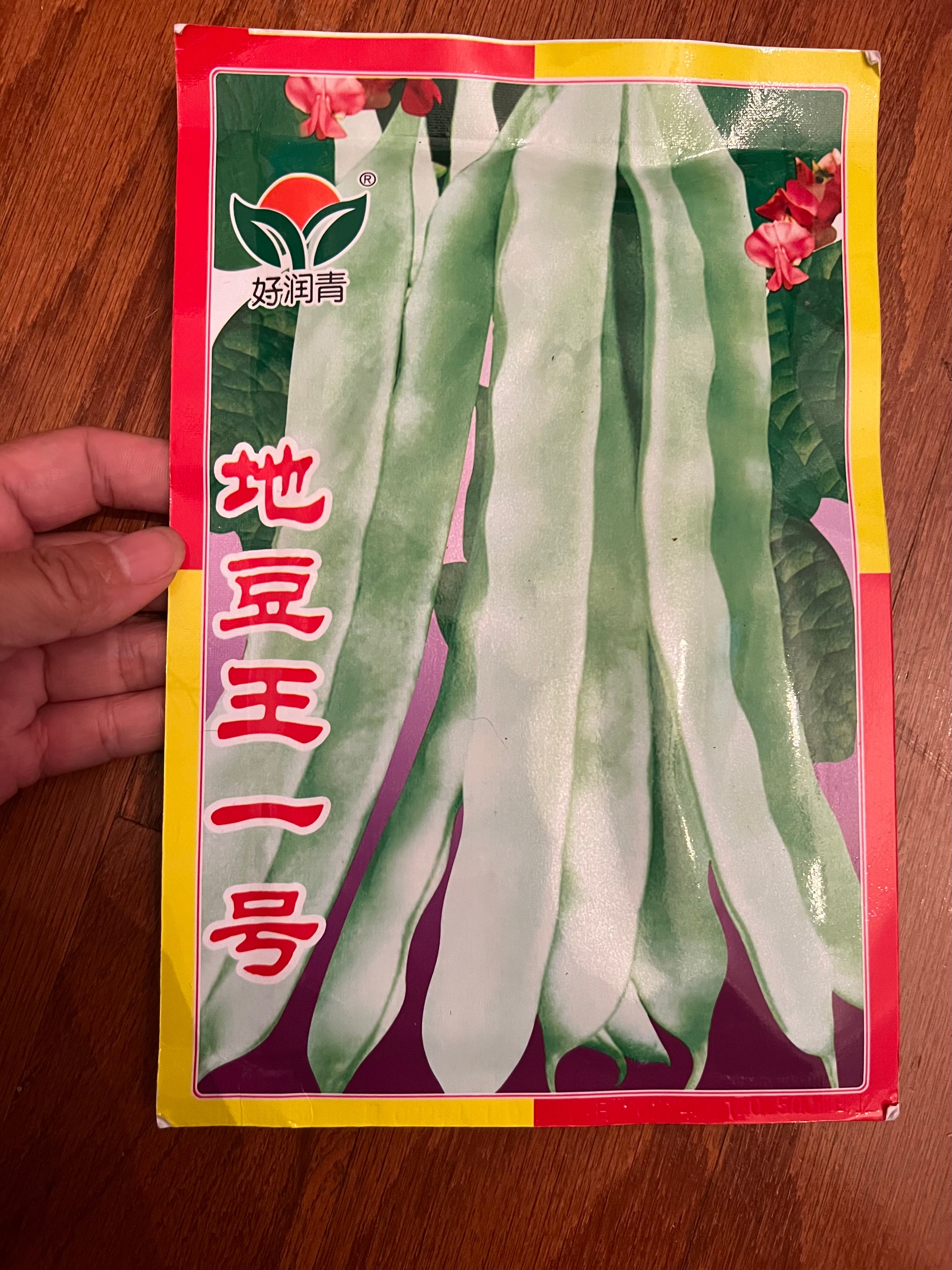 芸豆地豆王一号20克,春秋播种,45-50天收成 – sue.w