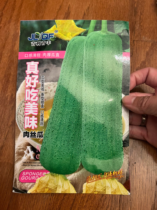 真好吃美味肉丝瓜20粒，春夏播种
