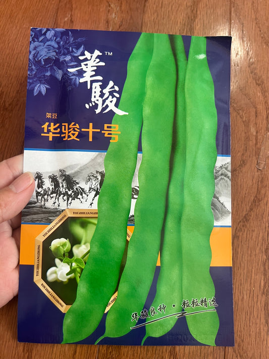 华駿石号油豆芸豆10克，春秋播种，70天收获