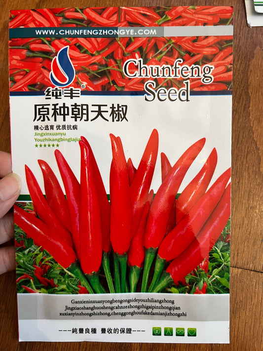 朝天椒种子100粒，春天播种