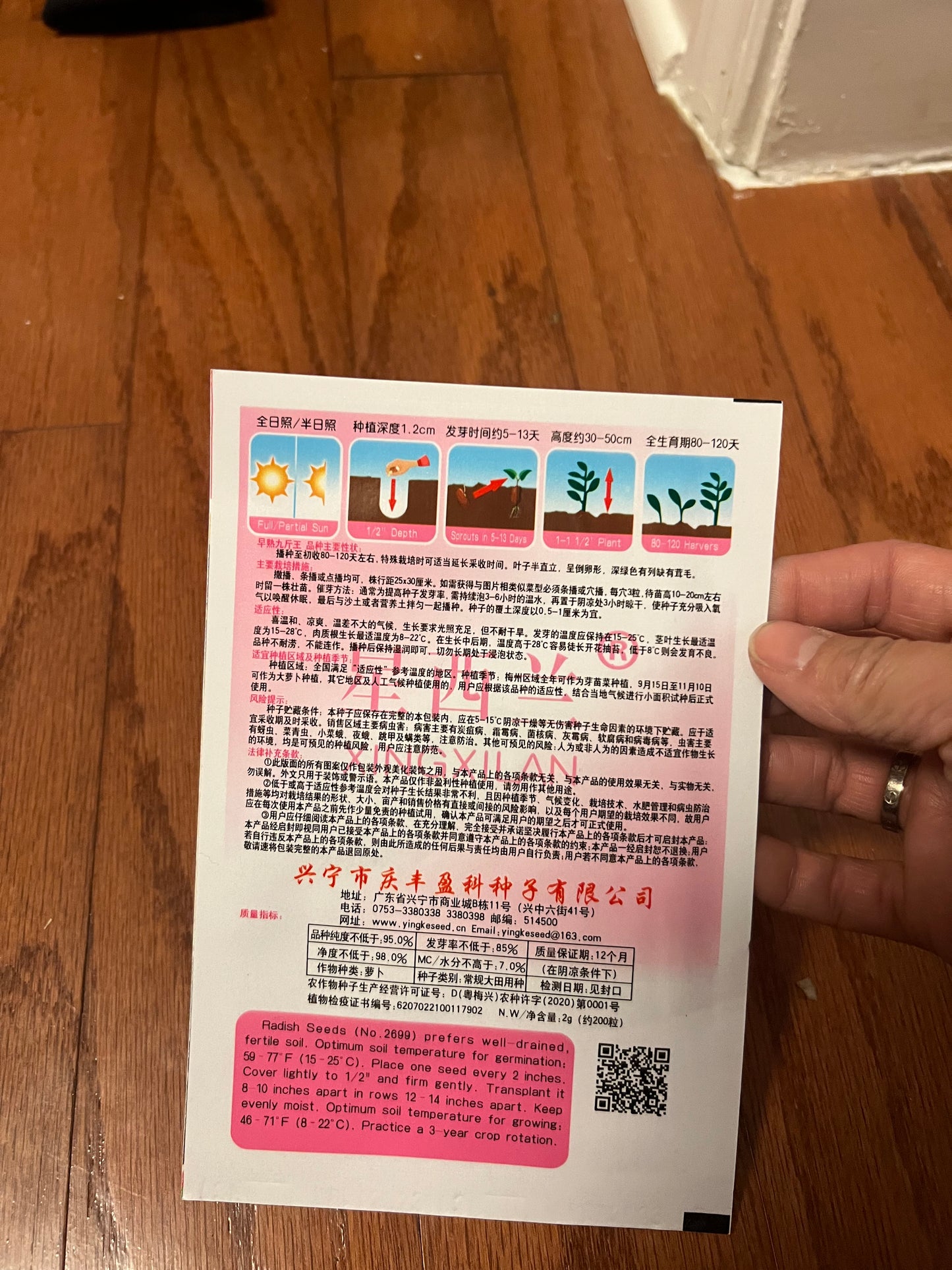 萝卜