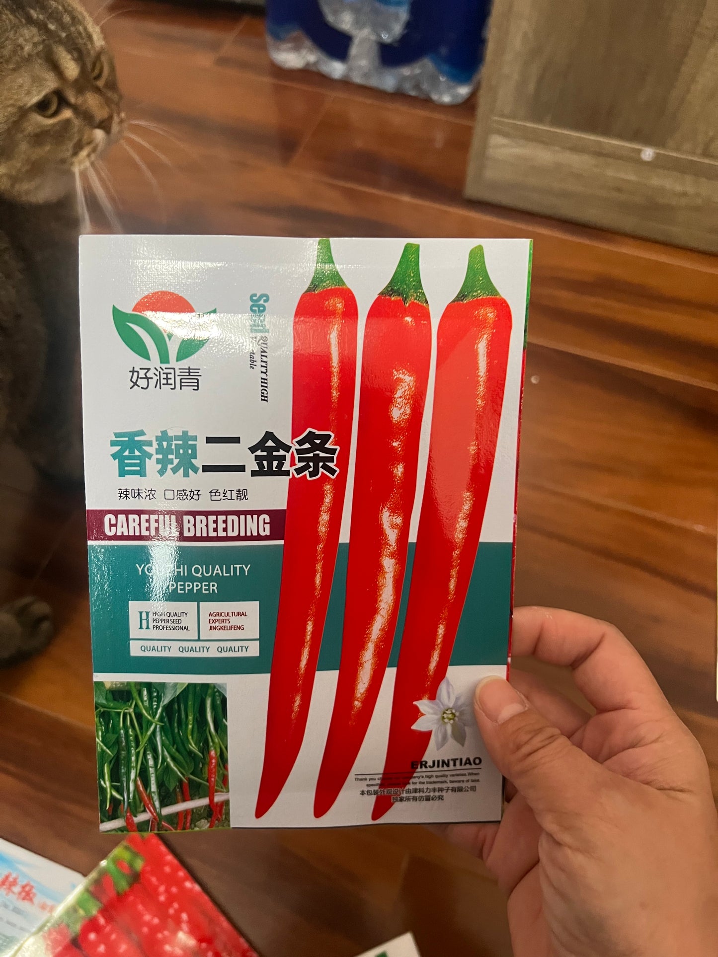 各种：辣椒，甜椒，泡椒