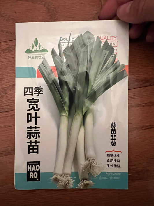 四季宽叶蒜苗 3克