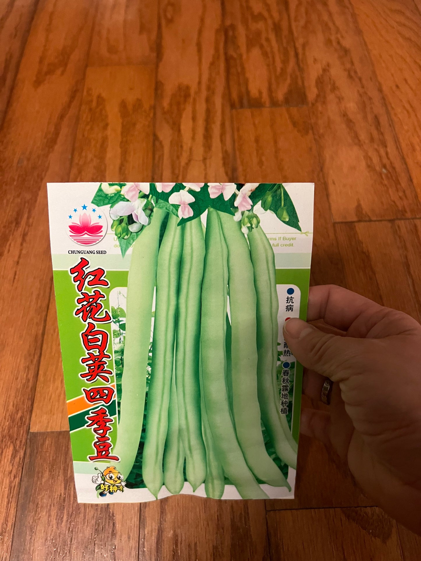 长豆，芸豆，豇豆