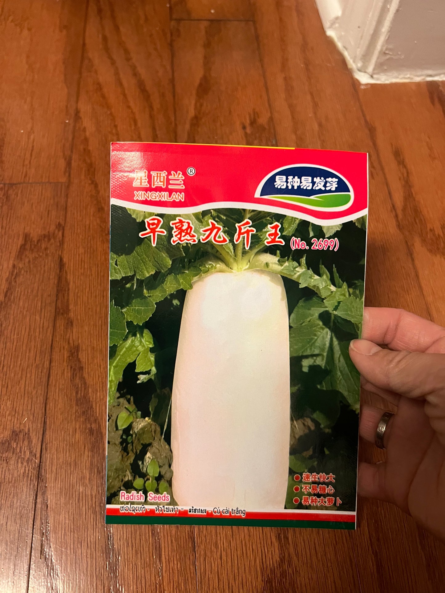 萝卜