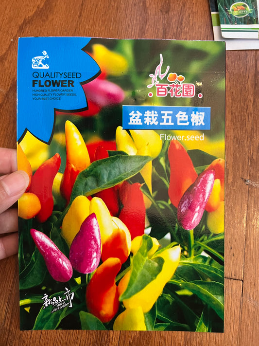 盆栽五色椒种子100粒，春季播种