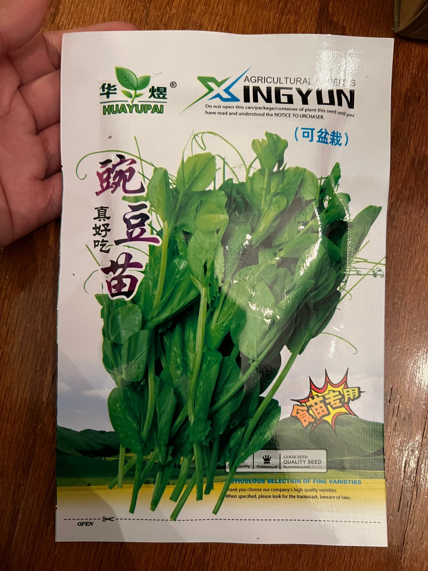 豌豆苗，10克，四季播种