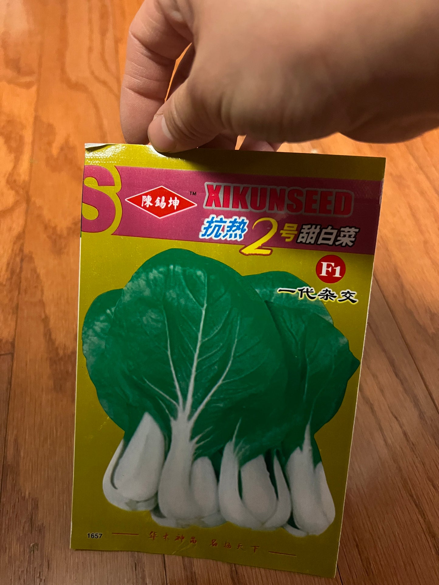 小白菜，白梗快菜，四季可以种