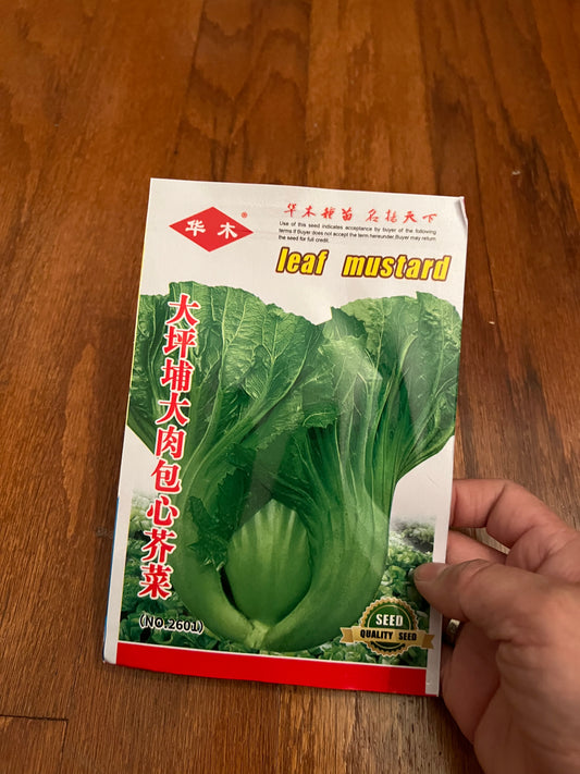 大肉包心芥菜3克，4-10月份可以种植
