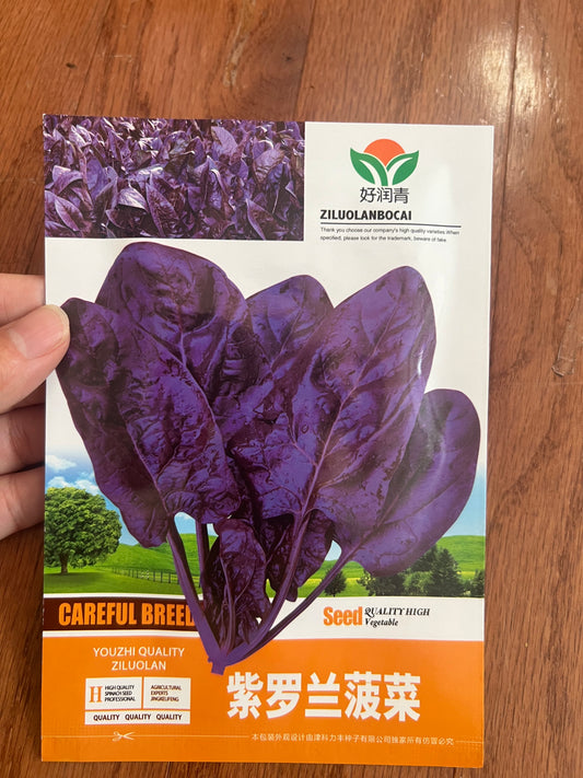 紫罗兰菠菜5克，春秋冬播种，