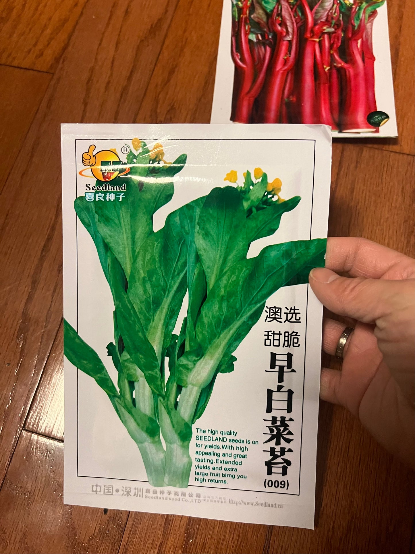 菜苔，