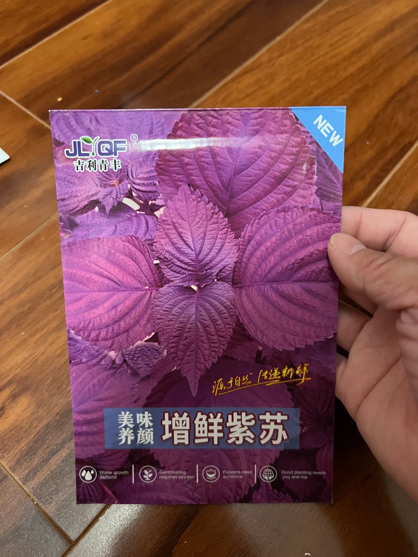 各种菜籽