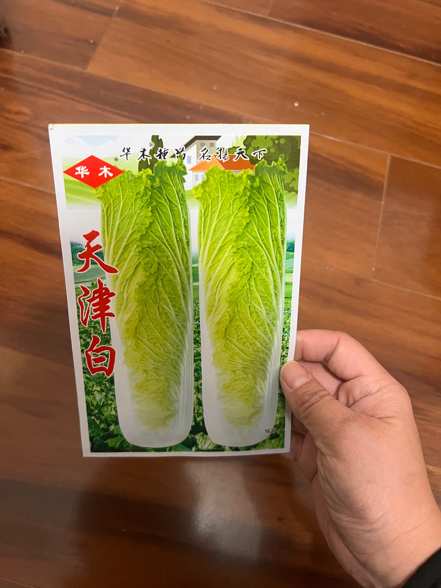 各种：白菜，苏州青，