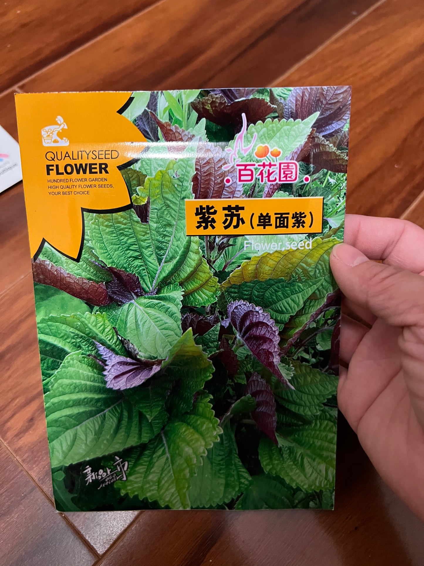 各种菜籽