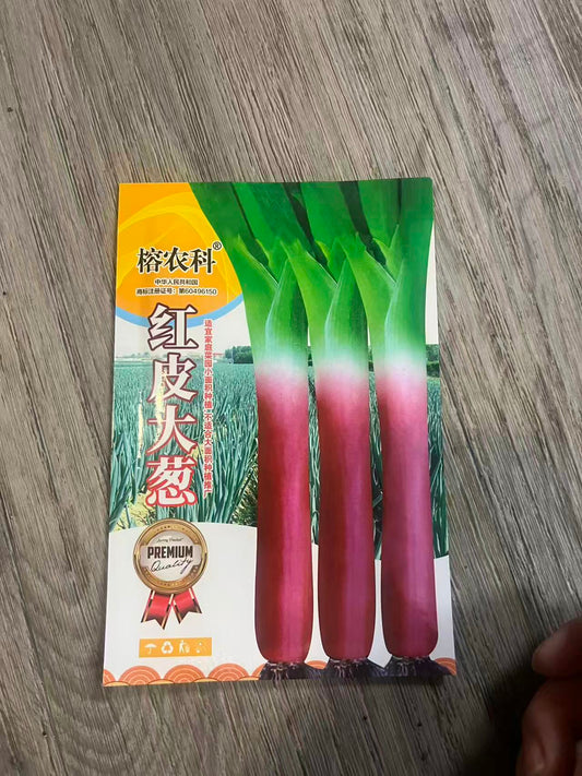 红皮大葱