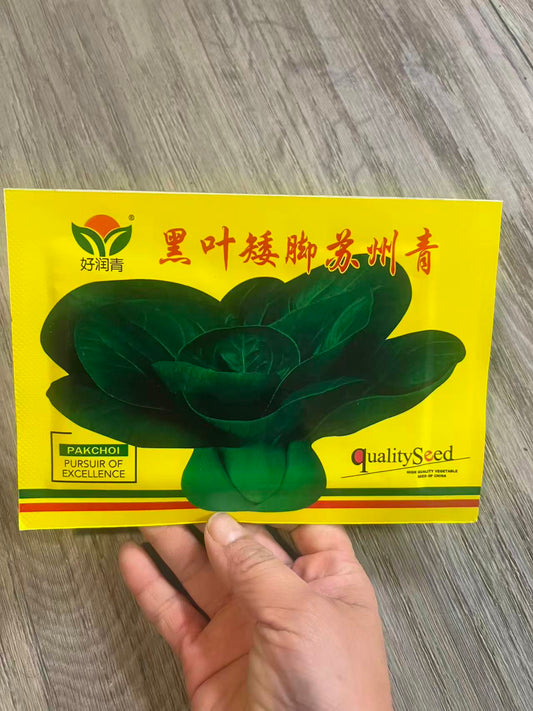 黑叶矮脚苏州青