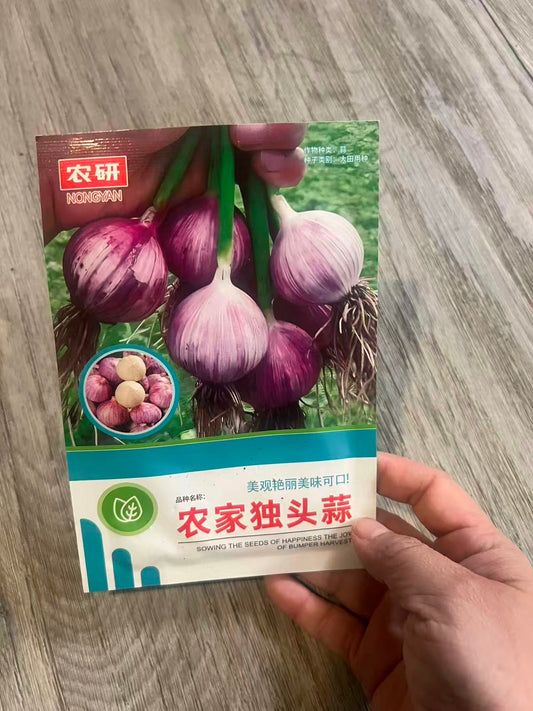 农家独头蒜
