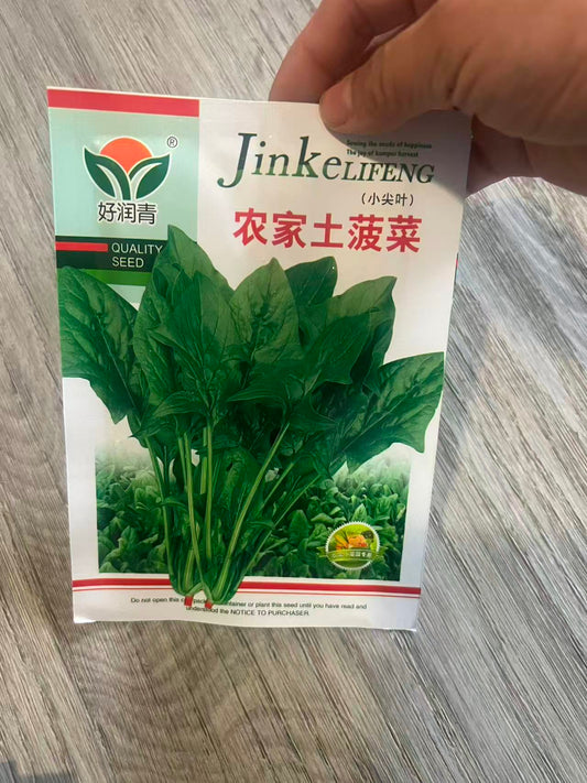 农家土菠菜