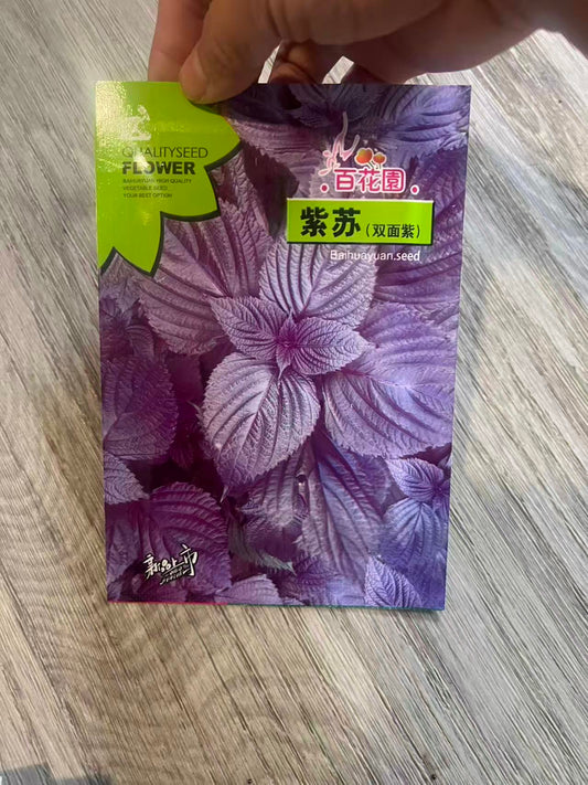 双面紫苏