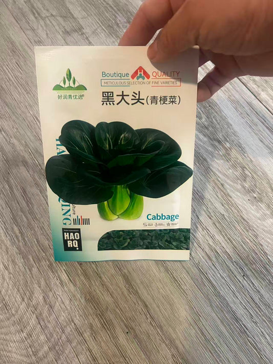 黑大头---青根菜