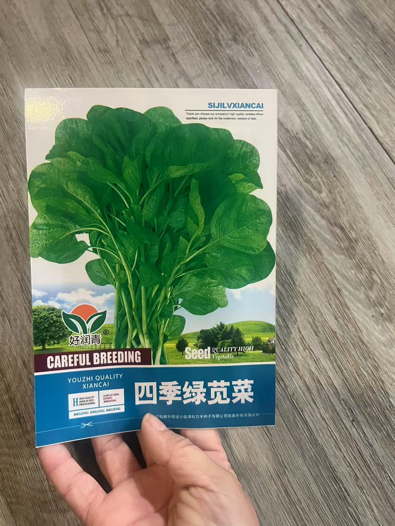 四季都可以种植--绿苋菜